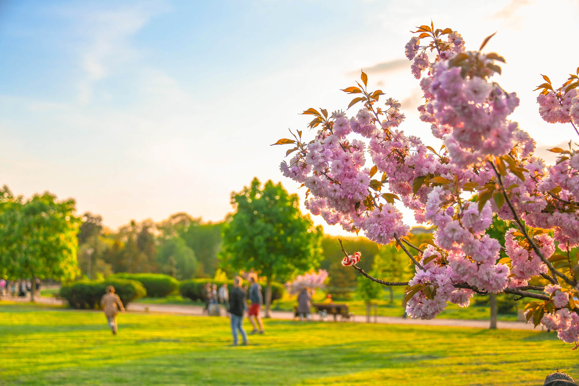 Park Borisova Gradina