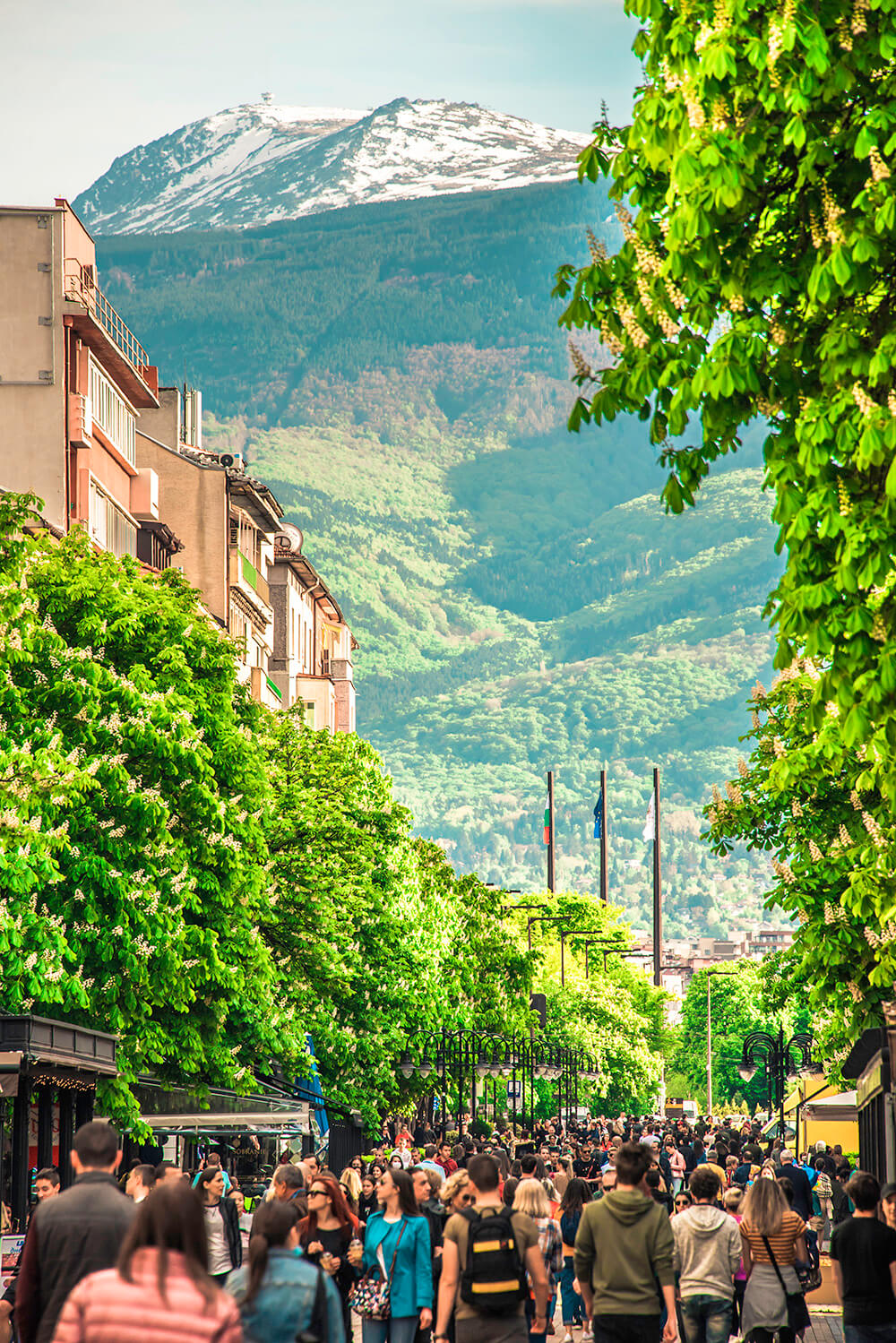 Vitosha Blvd and Vitosha Mountain