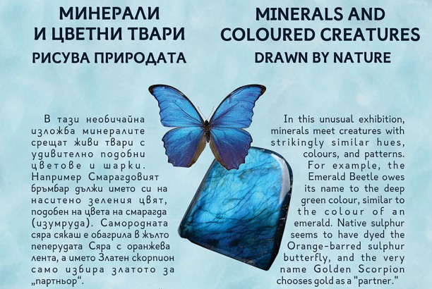 Челен постер на два езика - малък.jpg